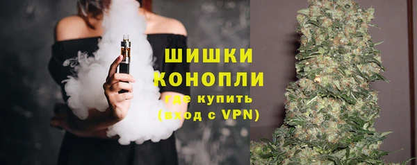 гашик Няндома