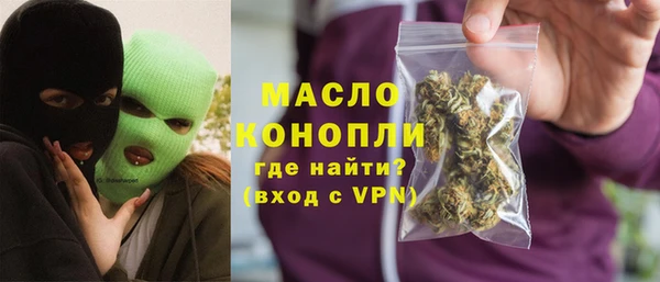 гашик Няндома