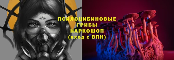 гашик Няндома