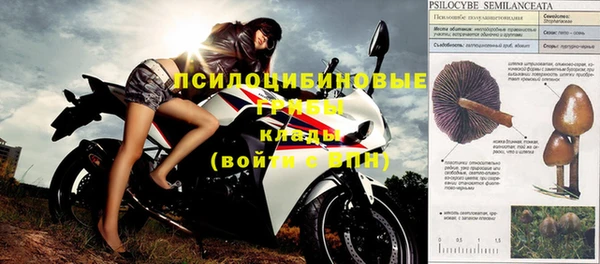 дживик Остров